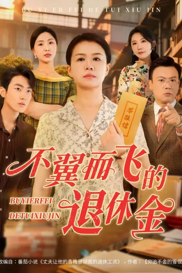 不翼而飞的退休金