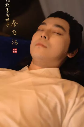 至尊驸马爷