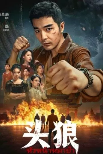 头狼2026