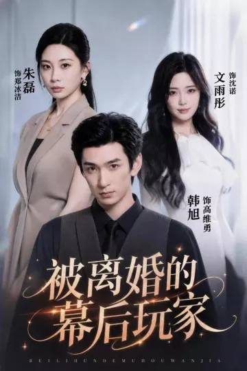 被离婚的幕后玩家