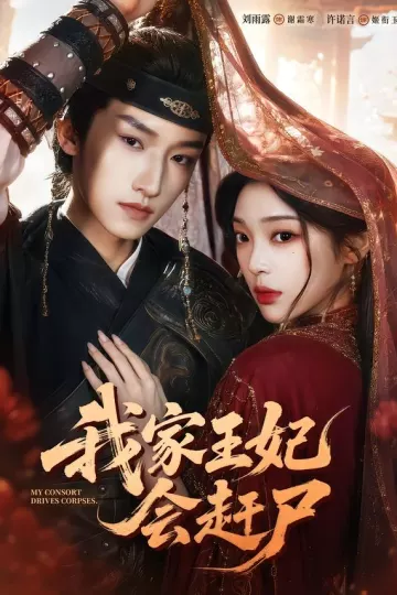 我家王妃会赶尸