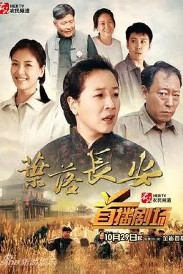 叶落长安