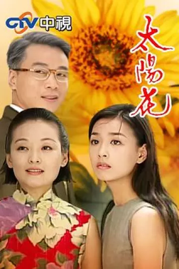 太阳花1998