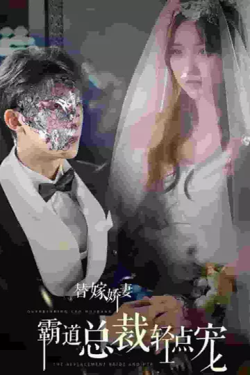替嫁娇妻偏执总裁轻点宠