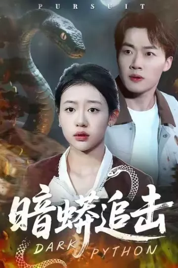 暗蟒追击