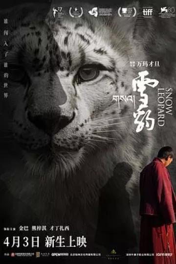 雪豹2023
