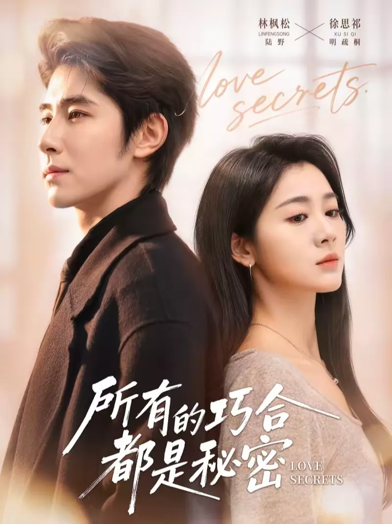 所有的巧合都是秘密&陆总夫人她只想离婚
