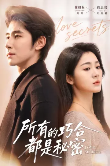 所有的巧合都是秘密＆陆总夫人她只想离婚