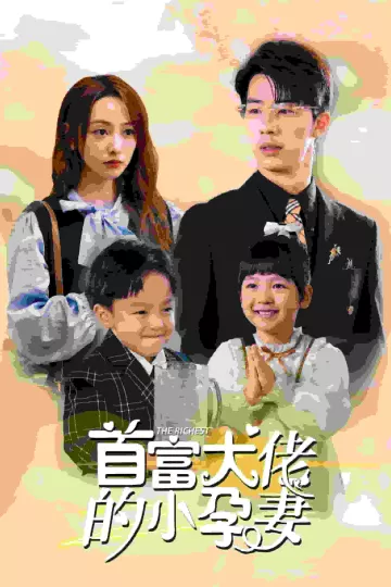 首富大佬的小孕妻