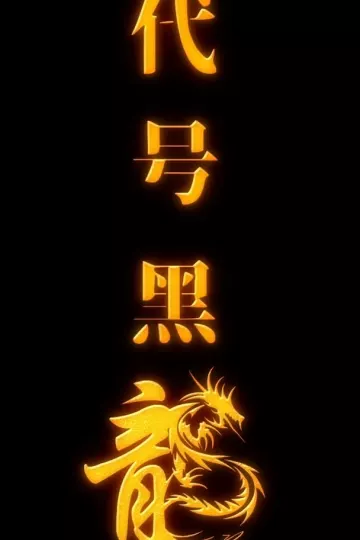 代号黑龙
