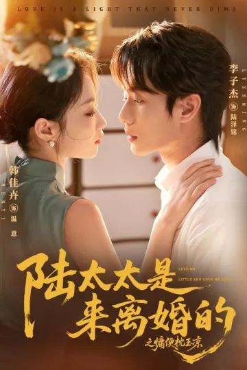 陆太太是来离婚的之慵便枕玉凉