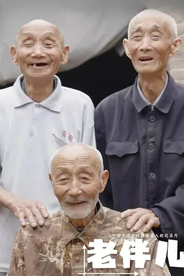 老伴儿