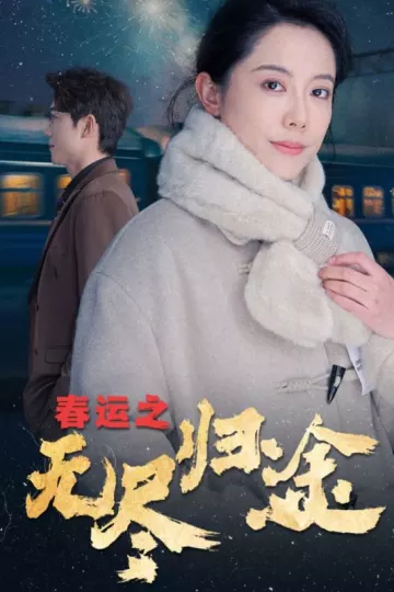 春运之无尽归途