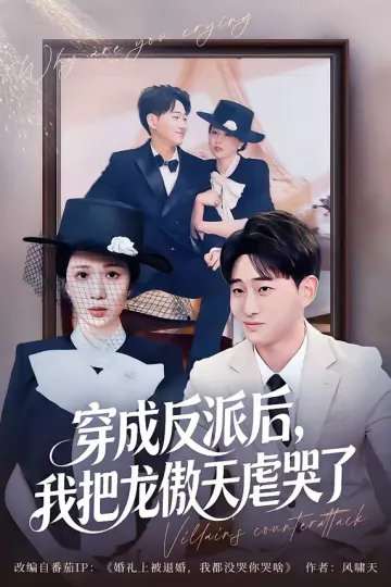 穿成反派后，我把龙傲天虐哭了