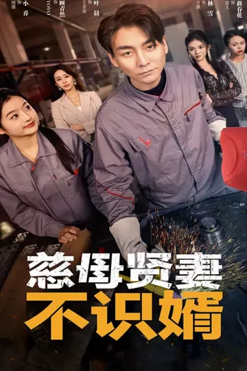 慈母贤妻不识婿