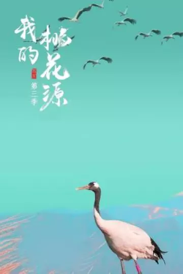 我的桃花源第三季