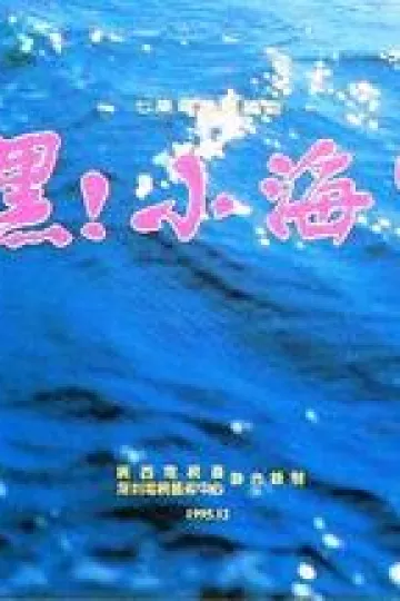 嘿！小海军
