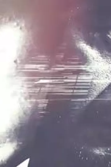非常搭档