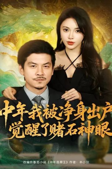 中年我被净身出户,觉醒了赌石神眼