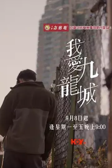 我爱九龙城