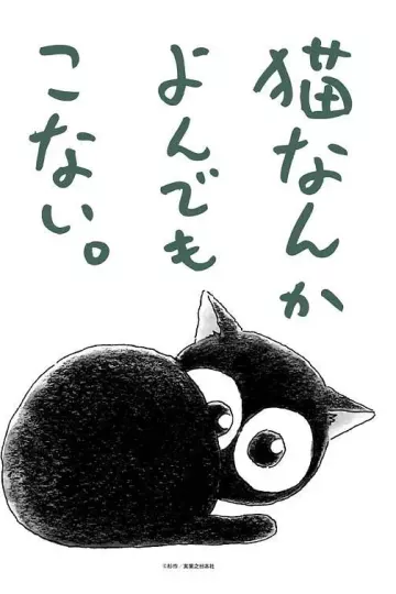 为什么猫都叫不来