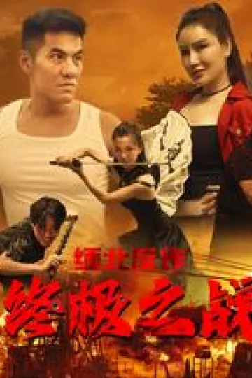 缅北反诈终极之战
