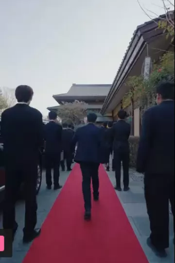 新：傲世医仙