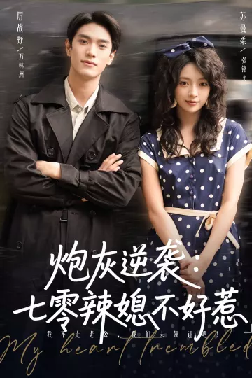 炮灰逆袭七零辣媳不好惹