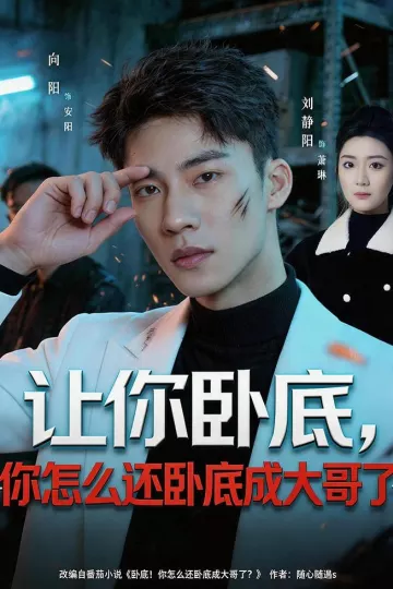 让你卧底，你怎么还卧成大哥了