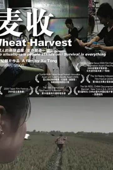 麦收