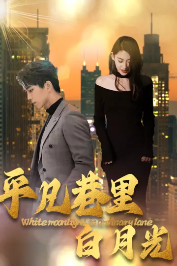 平凡巷里白月光