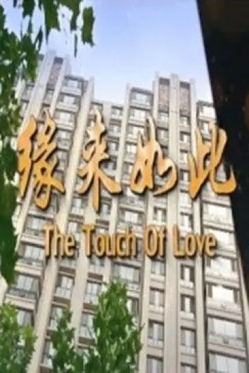 缘来如此2017