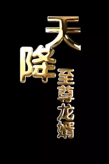 天降至尊龙婿合集版