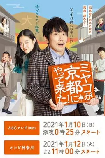 京来京都了！