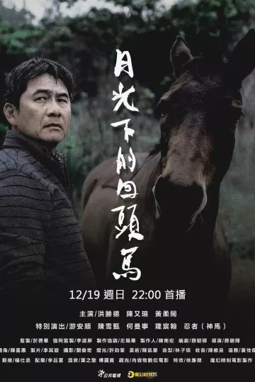月光下的回头马
