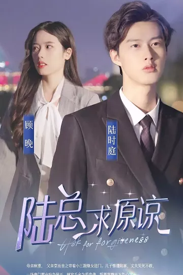 离婚后，陆总跪着求原谅