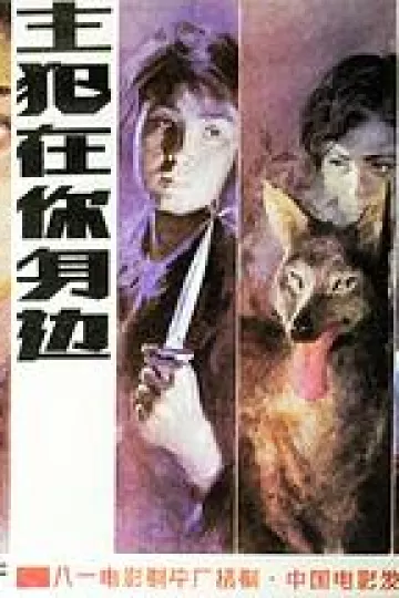 主犯在你身边[电影解说]