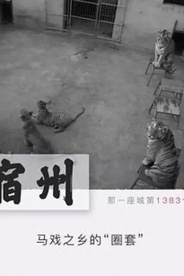 圈套：动物表演背后的真相[贤哥解说]