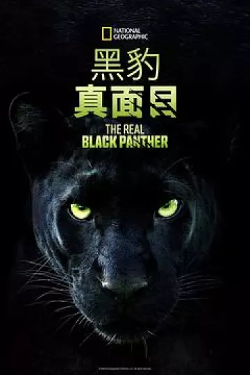 真黑豹无双