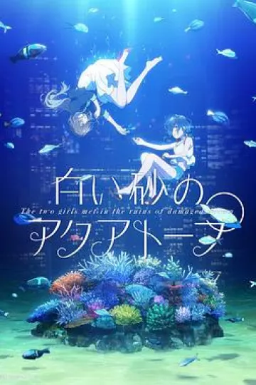 白沙的水族馆
