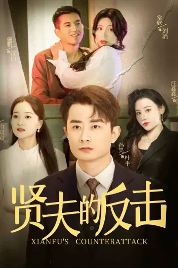 贤夫的反击