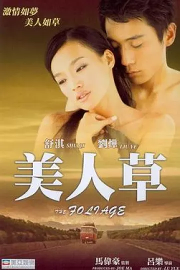 美人草[电影解说]