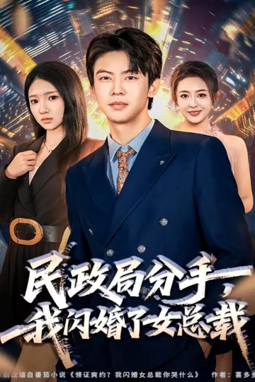 民政局分手,我闪婚了女总裁