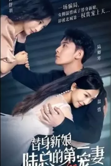 替身新娘:陆总的第一宠妻