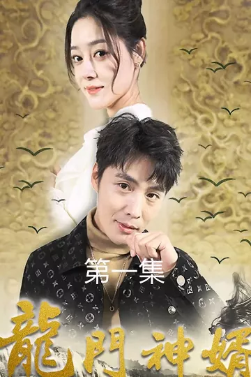 龙门神婿