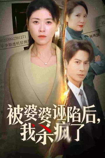 被婆婆诬陷后我杀疯了
