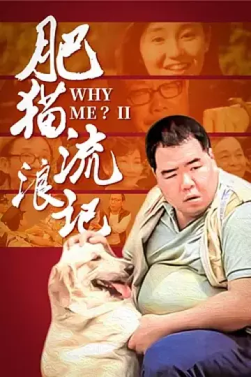 肥猫流浪记[电影解说]