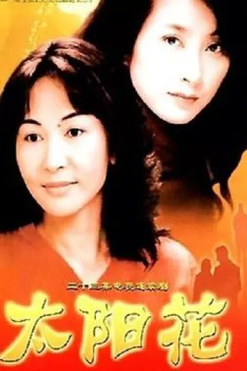 太阳花2002