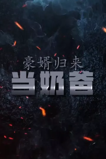 豪婿归来当奶爸