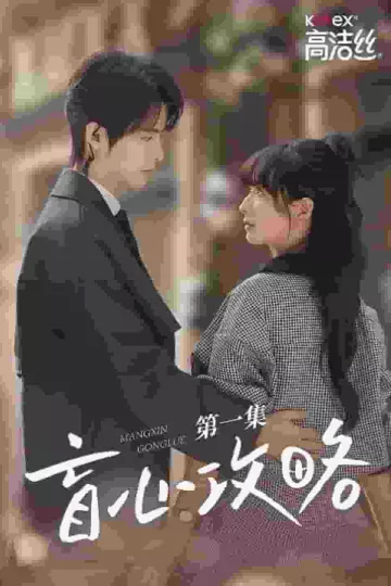 盲心攻略